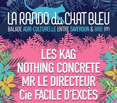 Affiche chat bleu festival